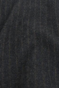 La Veste De Costume Rayée